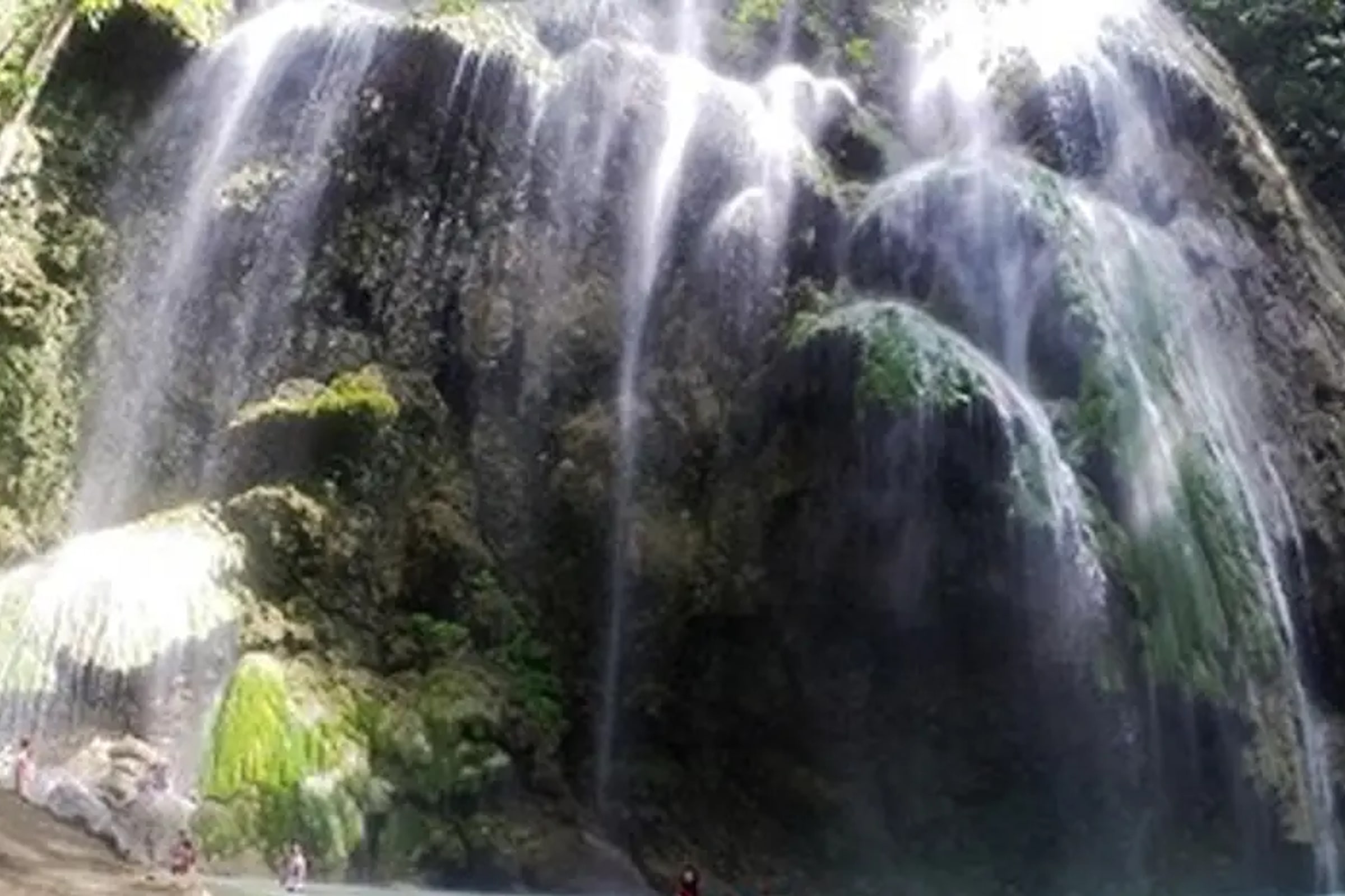 Private Whale Shark Watching and Canyoneering in Kawasan Falls Tour